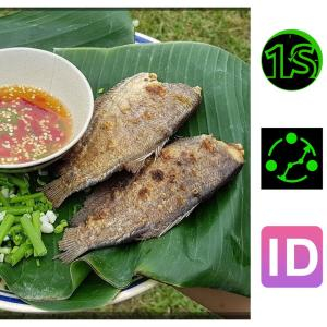 Chọn cá tươi, sạch