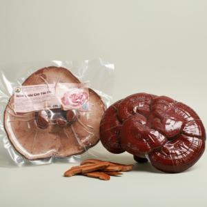 Nấm Linh Chi Tai To Hiền Nương Farm 120gr - Đặc Sản An Giang